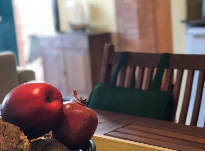 Islas Medas Wifi Y Parking Gratis * L'Estartit